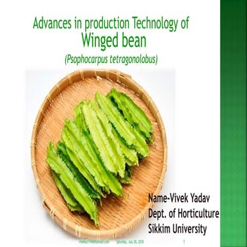 Wingbean cultivation | PPTX