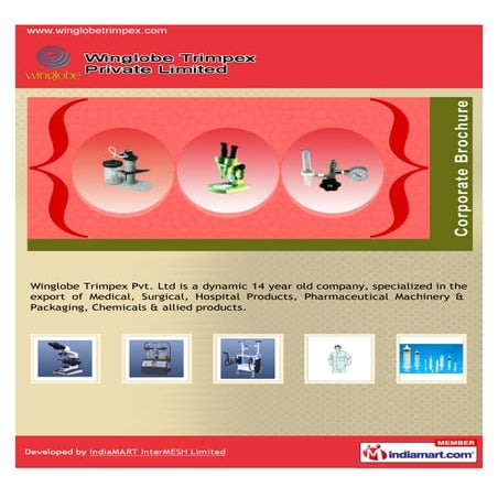 Presentation in english | PPT