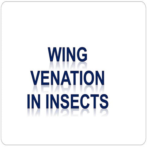 WING VENATION IN INSECTS