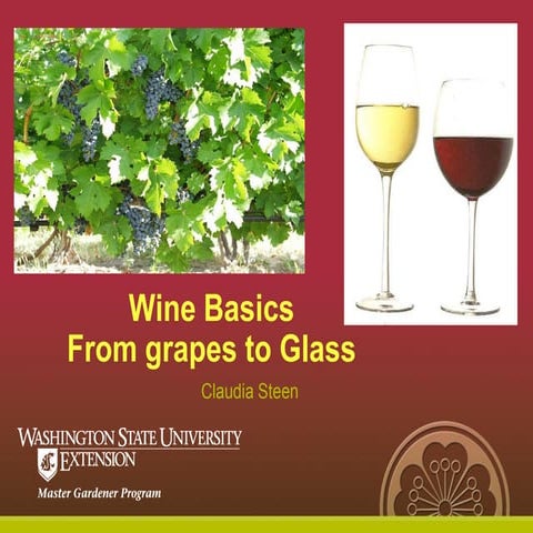 Wino-101-basics Introduction to Wine Industry