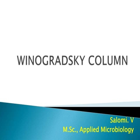 WINOGRADSKY'S COLUMN.pptx