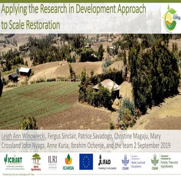 Applying the Research in Development Approach to Scale Restoration