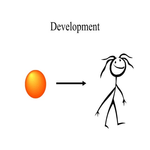 B and T cell maturation.ppt