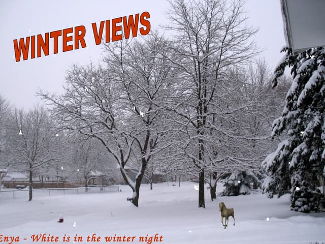 Winter Views