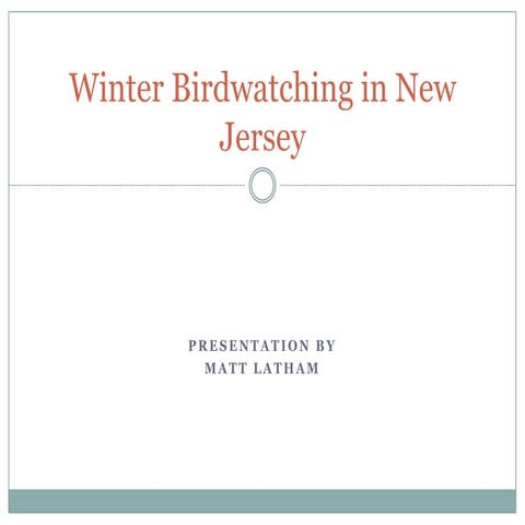 Winter Birdwatching in New Jersey