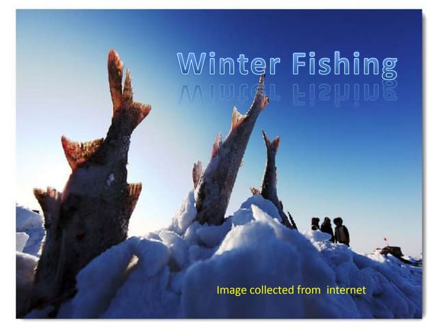 Winter fishing