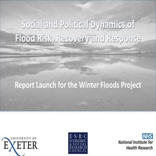 Social and Political Dynamics of Fl...