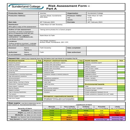 Risk Assessment Template.doc