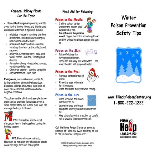 Winter poison prevention safety tips | PDF
