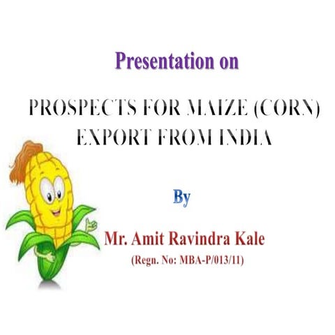 Corn Export