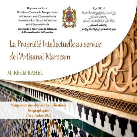 wipo_geo_ge_21_panel_3_3darijamarocaineespagnole.pdf