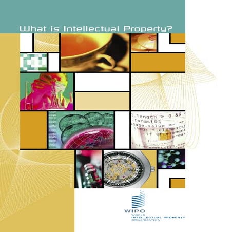 INTELLECTUAL PROPERTY RIGHT