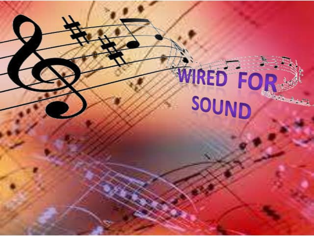 Wired for sound