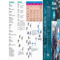 REDES  CONEXIONES, CABLES, TARJETAS Wireless-LAN