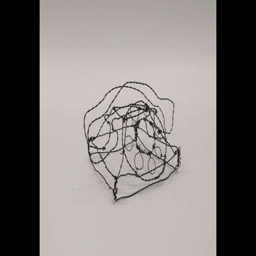 Wire sculptures