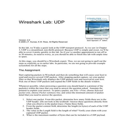 Wireshark UDP
