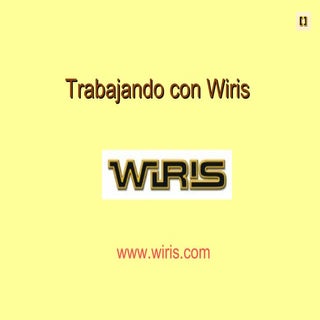 AYUDA WIRIS
