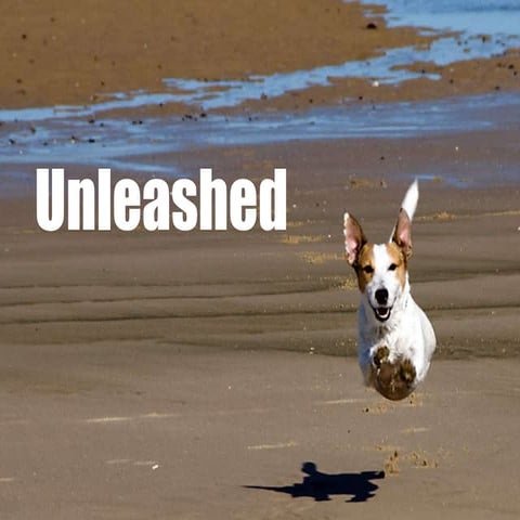 The Unleashed Vocational School. Best Practice In The Context Of Education Po...