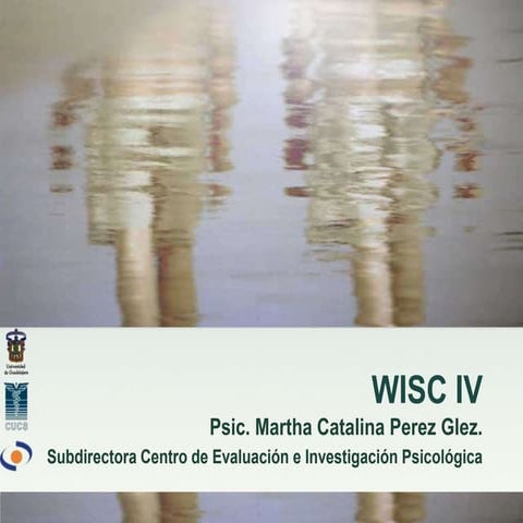 Wisc iv estandarizada 2011