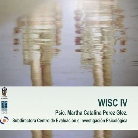 Wisc iv estandarizada 2011