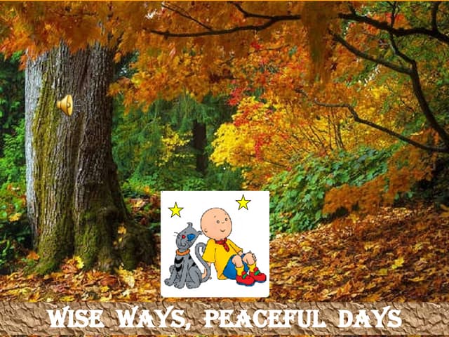Wise Ways, Happy Days
