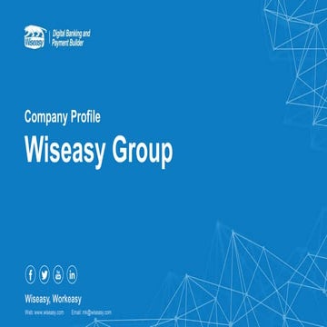 Wiseasy Profile .pdf