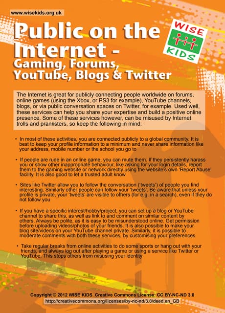 WISE KIDS Leaflet: Public on the Internet - Gaming, Forums, YouTube, Blogs an...