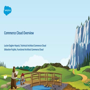 Wit   commerce cloud overview