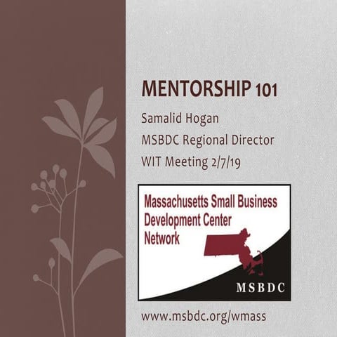 Mentorship 101