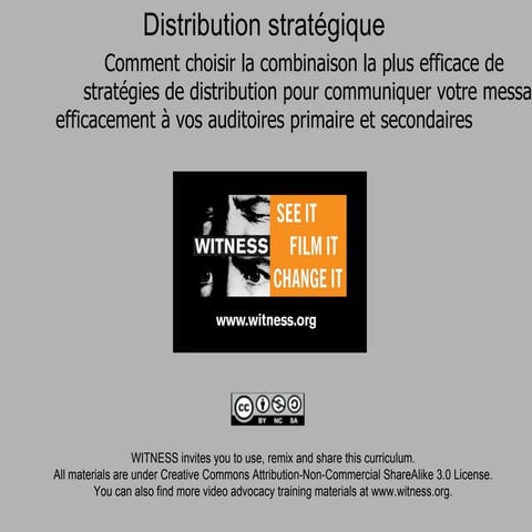 Witness curriculum 17-distribution stratégique-2011