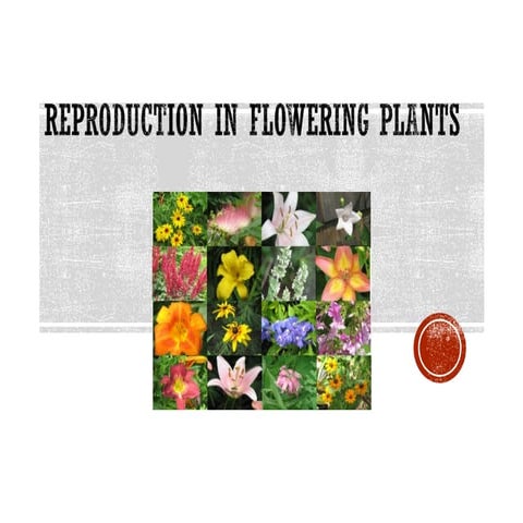 wk 13 plant reproduction asexual and sexual