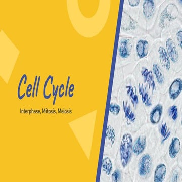 Cell Cycle.pdf