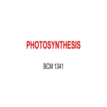 Wk 9 Photosynthesis.pptx. Basic photosynthesis explained