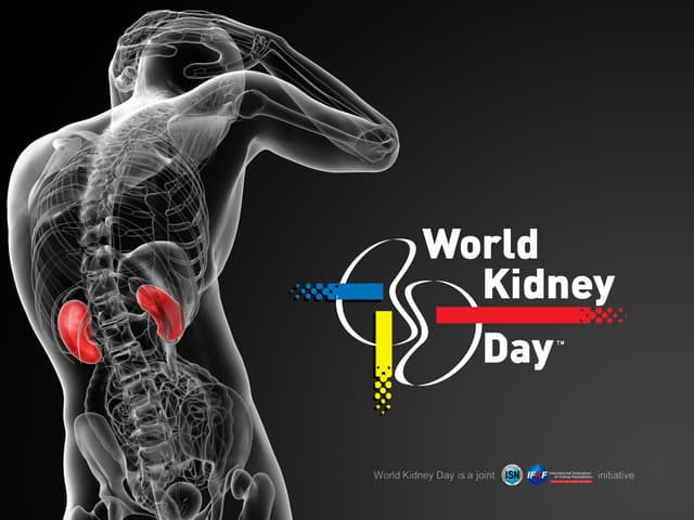 World Kidney Day (12-16)