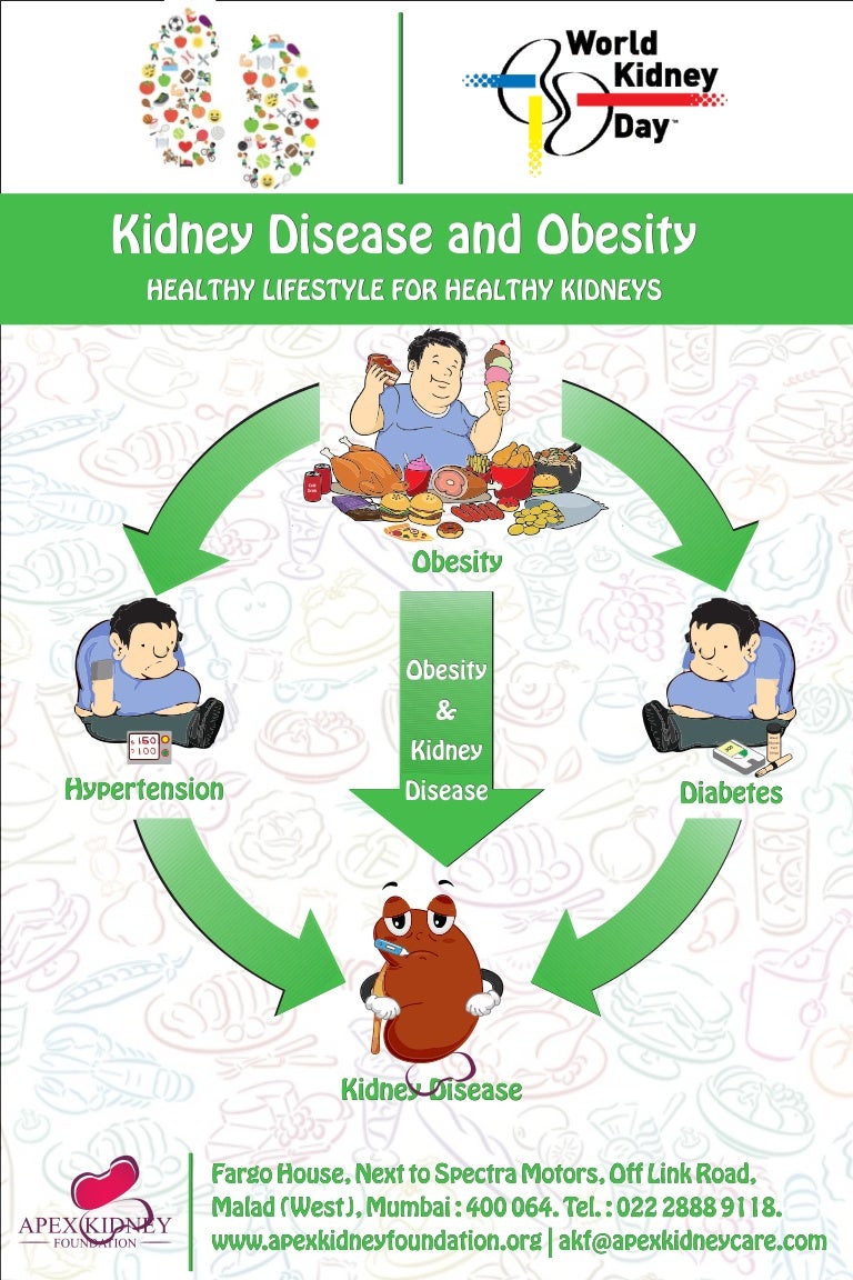 World Kidney Day English