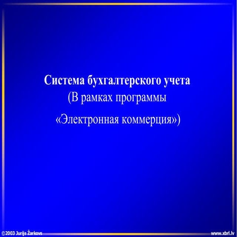 Система бухгалтерского учета (В рамках программы «Электронная коммерция»)  