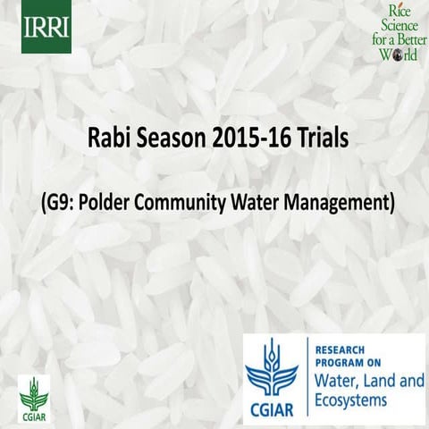 Rabi Season 2015-16 Trials | PPTX