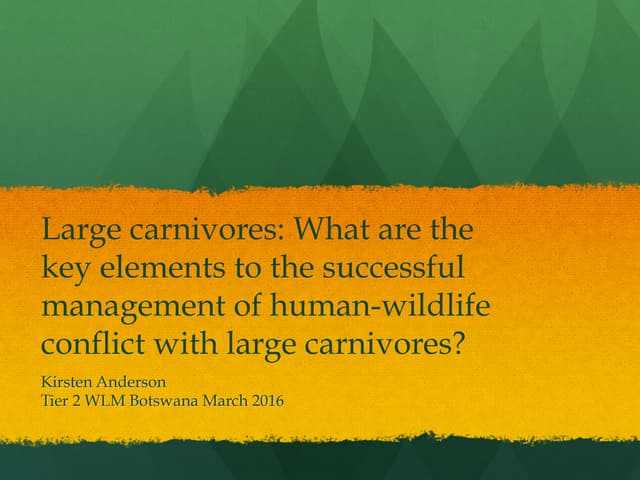 Human-wildife conflict with large predators