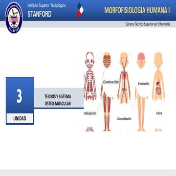 TEJIDOS Y SISTEMA OSTEO-MUSCULAR