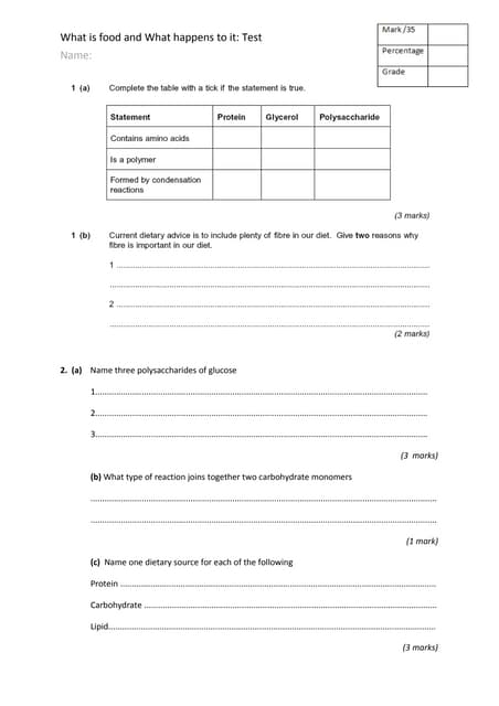What Is Food Test PDF what-is-food-test-pdf