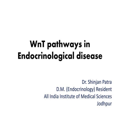 Wnt-Signalling in Endocrinology