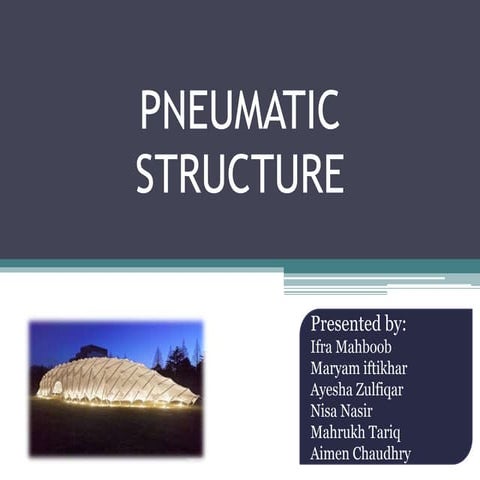 Pneumatic structure