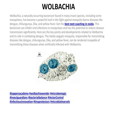 WOLBACHIA.pptx