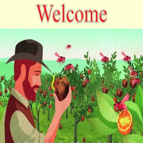 Wolbachia based strategies to control insect pests and disease vectors