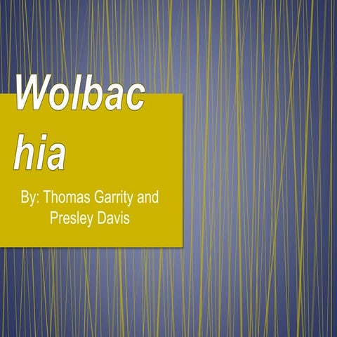 Wolbachia obligate intracellular symbiont reproductive strategies
