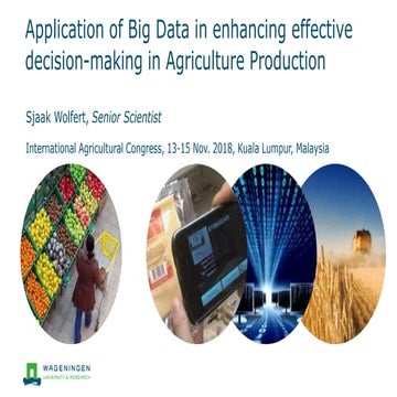 APPLICATION OF BIG DATA IN ENHANCING EFFECTIVE DECISION MAKING IN AGRICULTURAL PRODUCTION