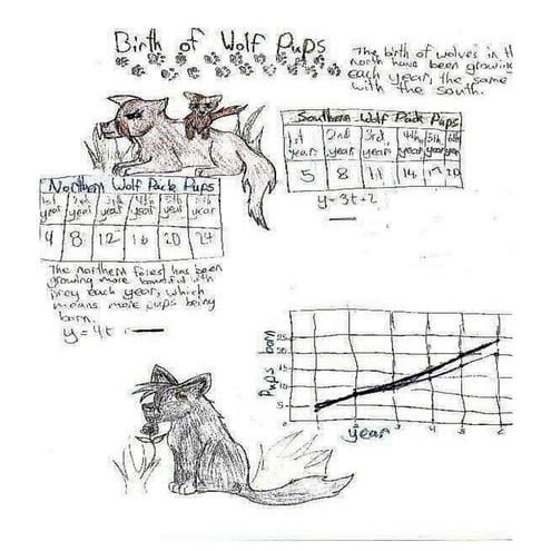 Wolf pups
