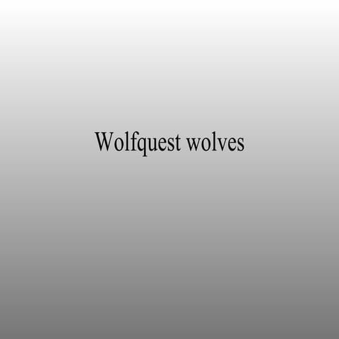 Wolfquest Wolves Slide Show | PPT