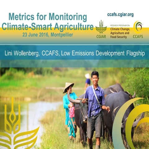 Metrics for Monitoring Climate-Smart Agriculture 