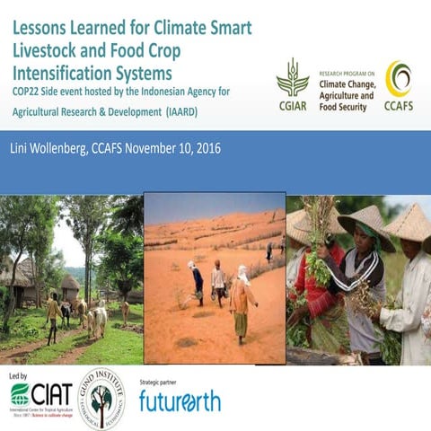 Lessons Learned for Climate Smart Livestock and Food Crop Intensification Sys...